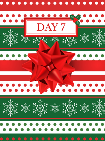 Day 7 of 12 Days of Fabric Sale